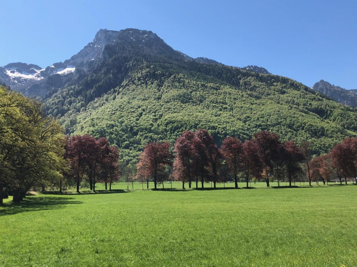 格洛迪Alpin Chic公寓 外观 照片